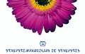 Parcours de Stylistes